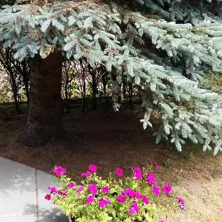 Dom Nad Morzem W Lebie بيت للعطل ليبا